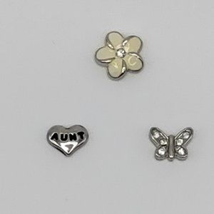 Origami Owl Aunt Charm Set